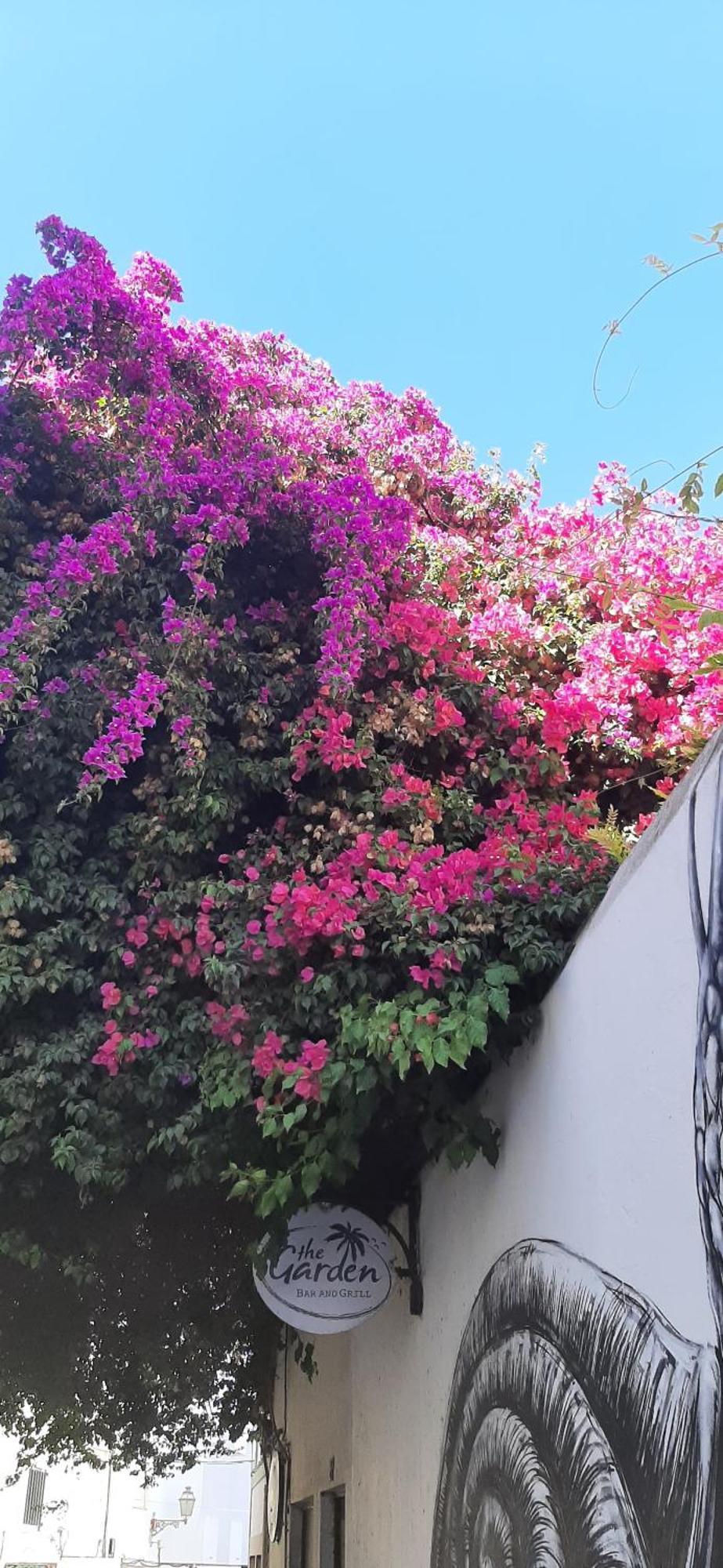 Casa De Celebrar A Vida Villa Monchique Kültér fotó